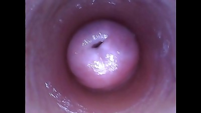 Kinky Kira Makes Selfie Video Of Her Vagina And Cervix Inwards - Amazing Amateur Video 1