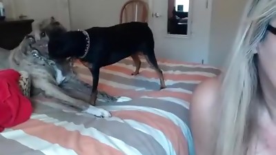 backwoodsbeaver intimate record on 2/1/15 14:23 from chaturbate
